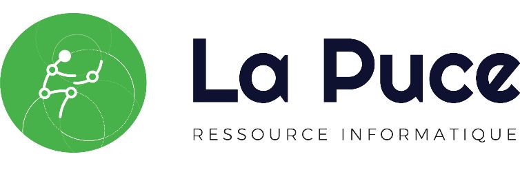 Logo de La Puce ressource informatique. 